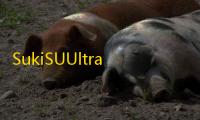 SukiSUUltra